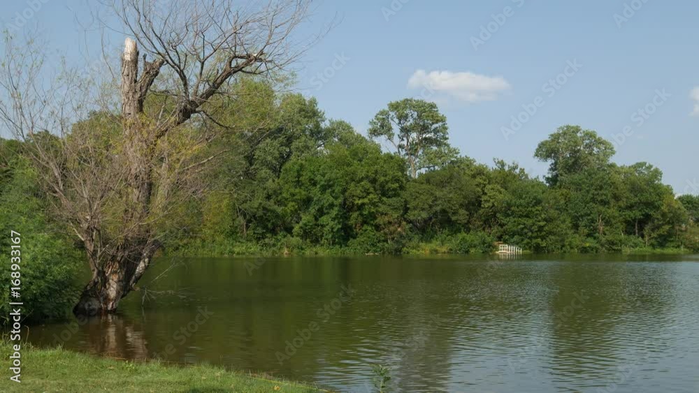 Scenic lakeside with green waters flowing on a sunny day Scenic lakeside with green waters flowing on a sunny day