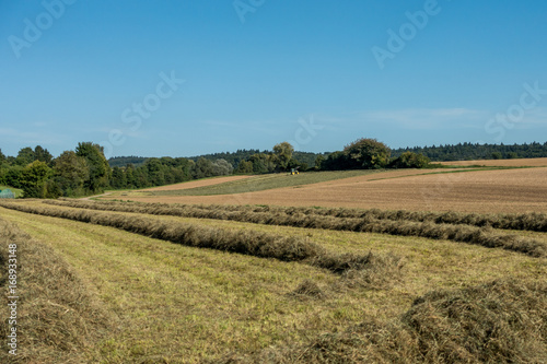 Wiese wird gemäht