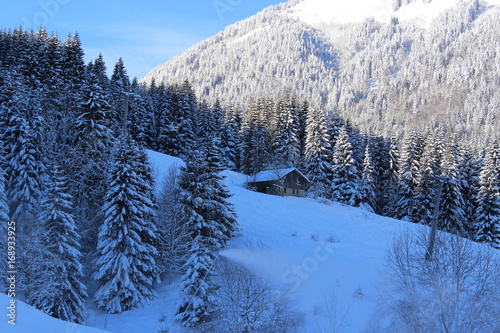 Snowy mountain scene