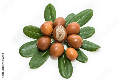 Shea nuts on leaves. Vitellaria Paradoxa