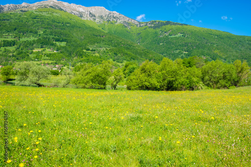 Unusual lake Plav among the picturesque mountain peaks of Montenegro.