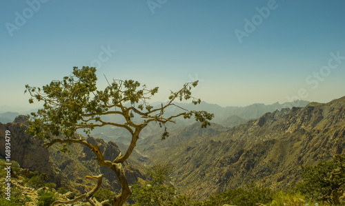 Al Hada Mountain in Taif City photo