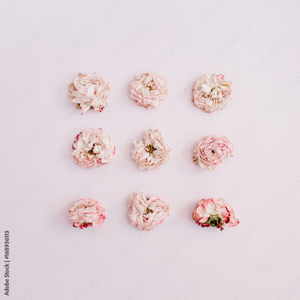 Fototapeta premium Pink dry rose buds on pink background. Flat lay, top view. Flowers background.