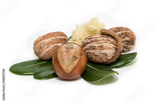 Shea nuts. Vitellaria paradoxa