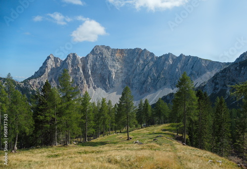 Kärnten Gebirge Karawanken Alm photo