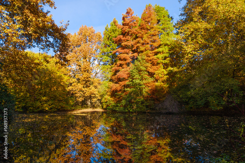 Autumn colors on the lake. Autumnal Park. Autumn Trees © EwaStudio