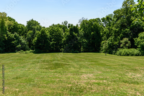 Green field surrounded by trees