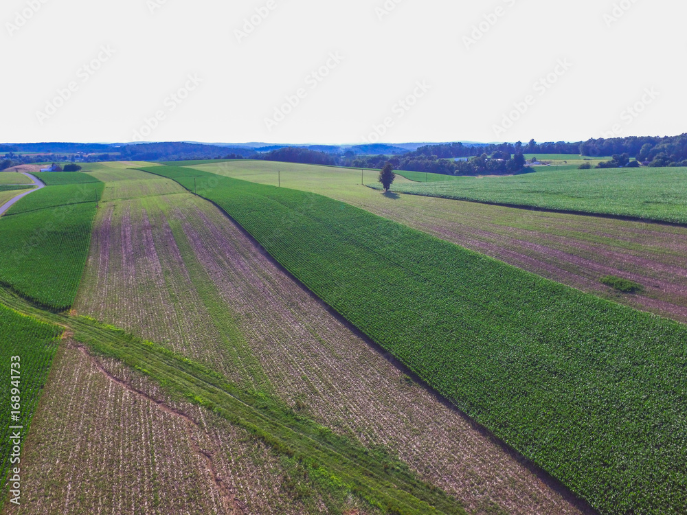 Obraz premium Aerial of Main Street Area in Shrewsbury, Pennsylvania