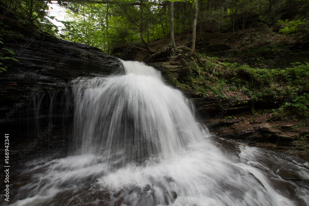 Fototapeta premium Scenic Waterfall in Ricketts Glen State Park in The Poconos in Pennsylvania