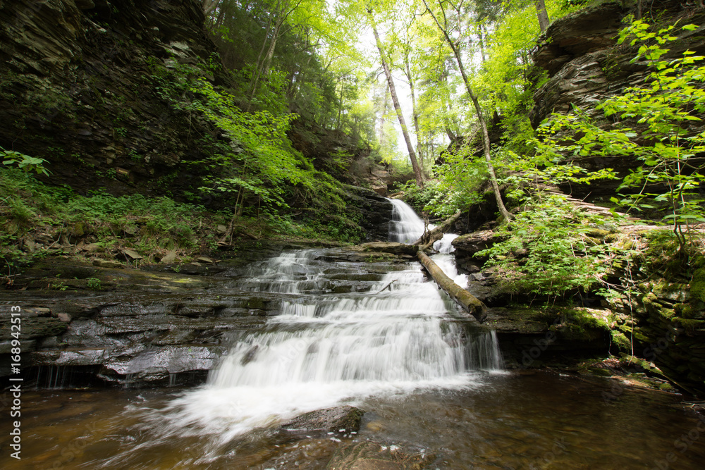 Fototapeta premium Waterfall in Pocono Mountains in Pennsylvania at Ricketts Glen