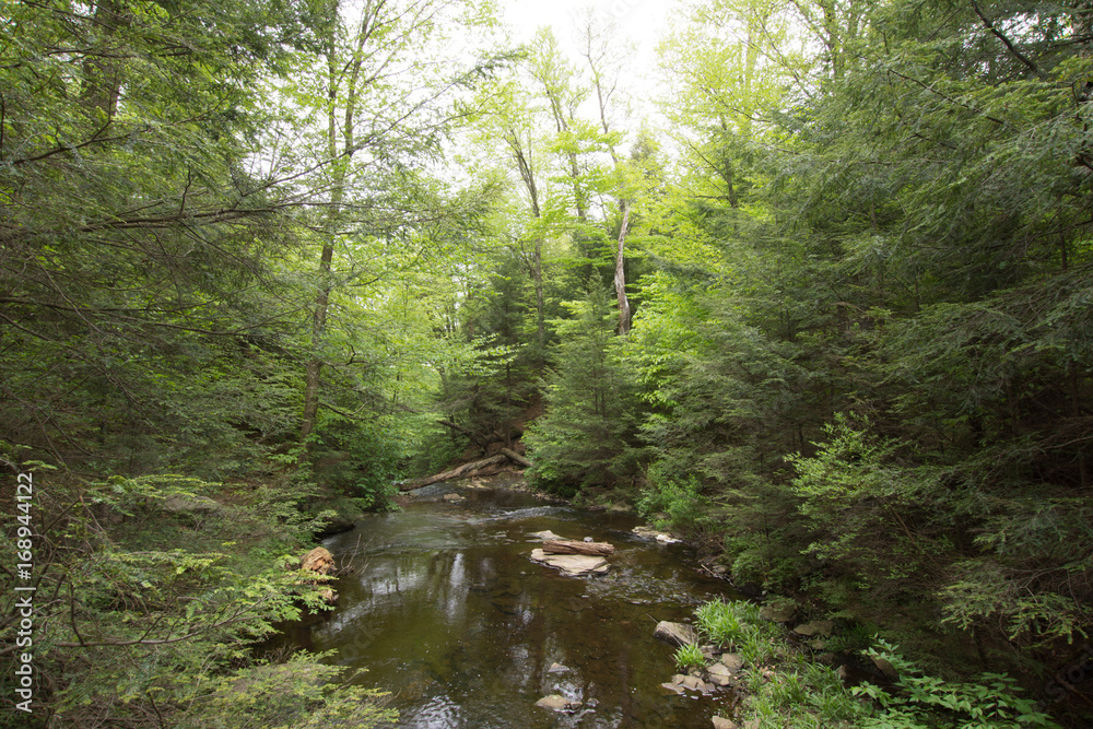 Scenic Waterfall in Ricketts Glen State Park in The Poconos in Pennsylvania Scenic Waterfall in Ricketts Glen State Park in The Poconos in Pennsylvania