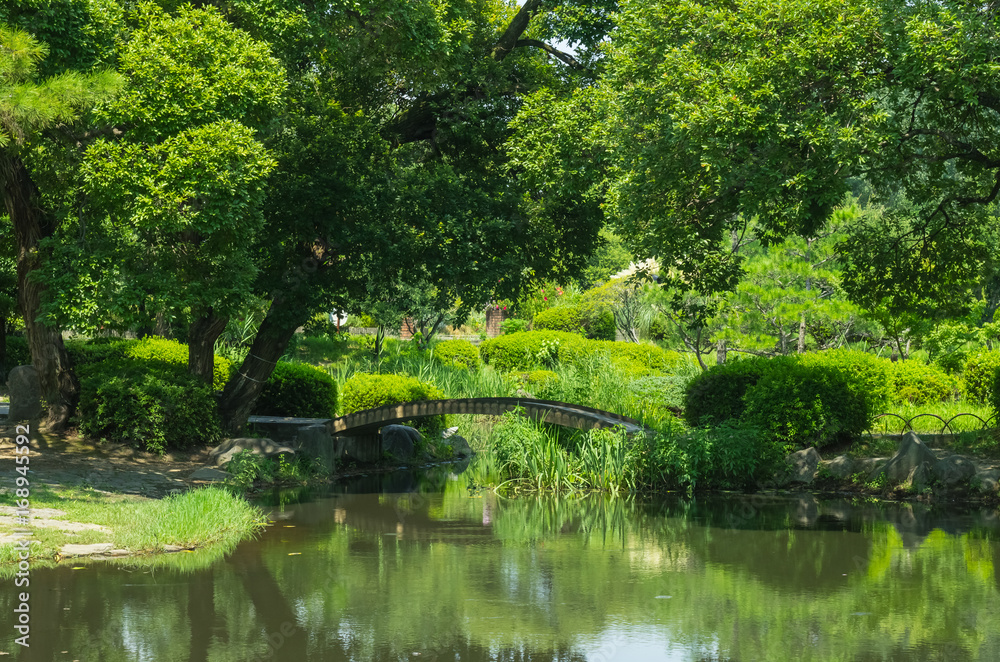 公園の風景・池と橋