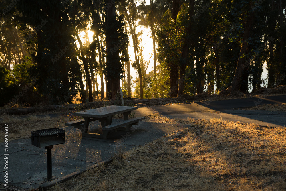 Sunset in a forest over a picnic area Sunset in a forest over a picnic area