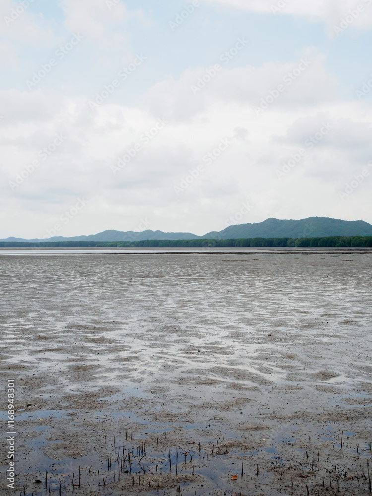 Wide angle view of the flat, muddy plains of a mangrove forest during the low tides, vertical orientation. Chanthaburi, Thailand. Travel and nature concept.