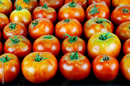 fresh farm picked tomatoes isolated on black background