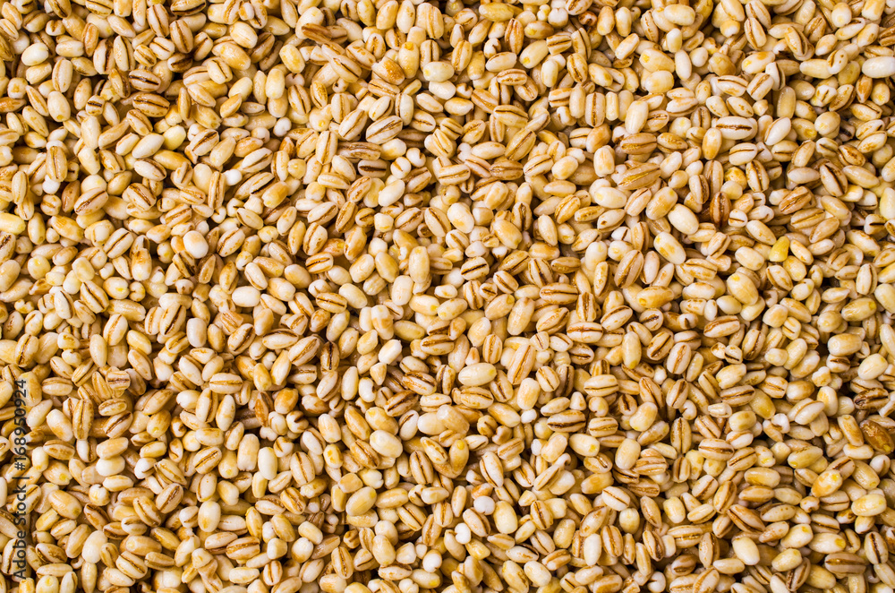 Dry pearl barley Dry pearl barley