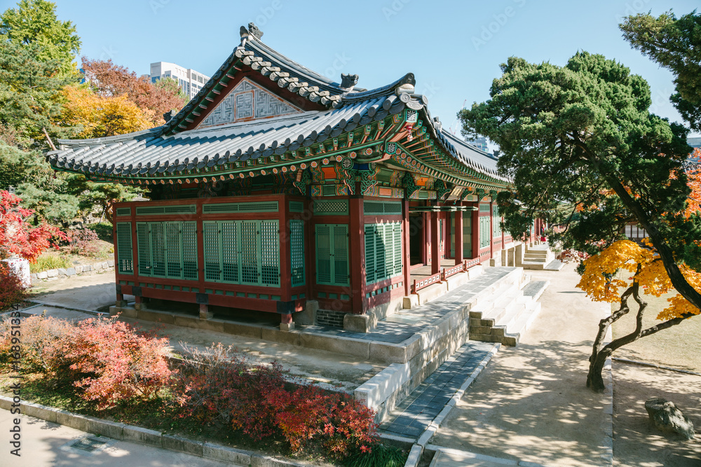 Autumn maple and Korean traditional architecture at Deoksugung Palace in Seoul, Korea