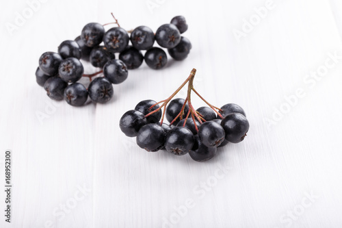 Bunch of black chokeberry   Aronia   on white background