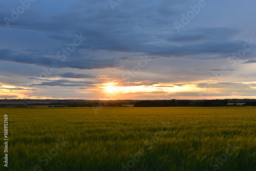 Sunset Over Wheat Field © Pam Walker