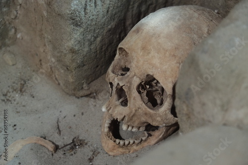 alter Schädel Knochen aus dem Mittelalter in einem Grab