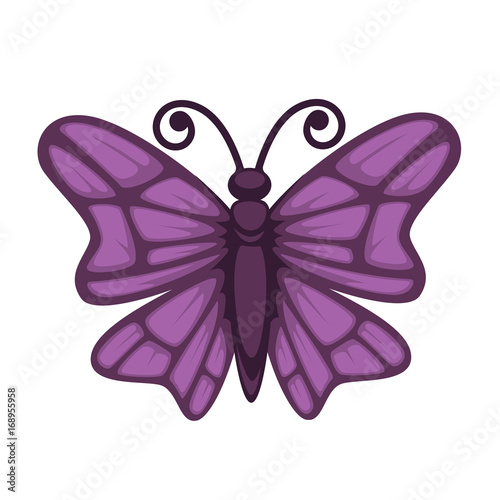 Purple colored small butterfly © Sonulkaster