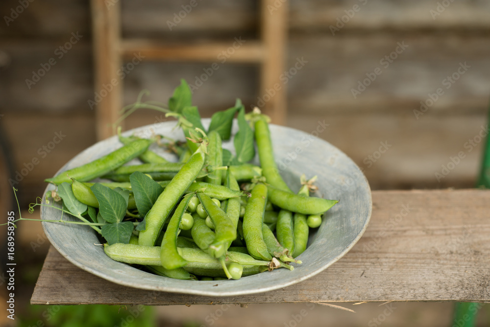 green peas on rustic wooden background green peas on rustic wooden background