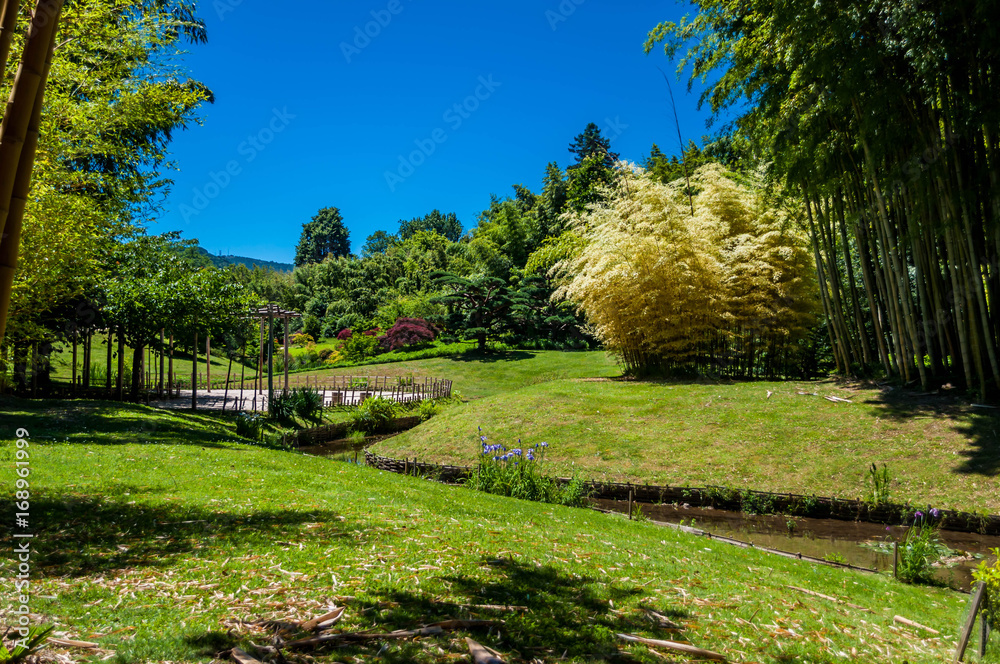 Jardin Japonais. Jardin Japonais.