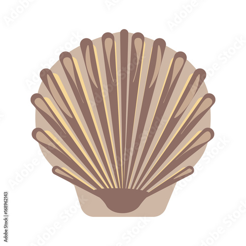 Big sea shell with uneven surface isolated illustration