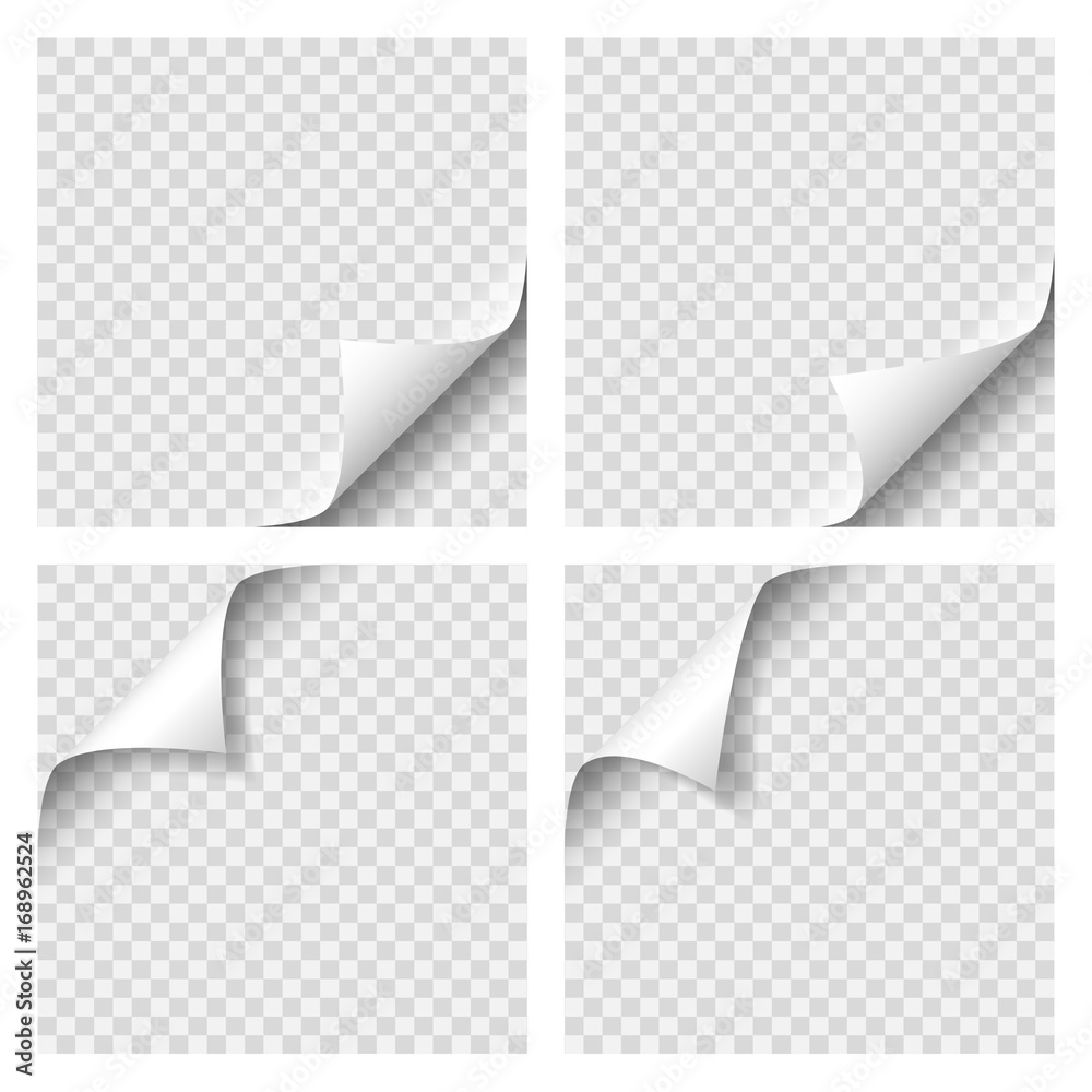 Blank paper Vectors & Illustrations for Free Download