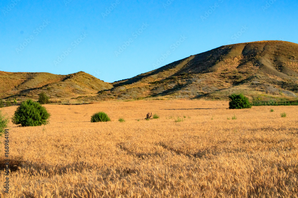 Fototapeta premium Natural landscape