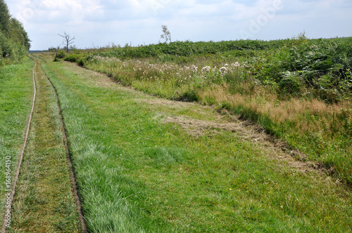 Bahngleise im Moor photo