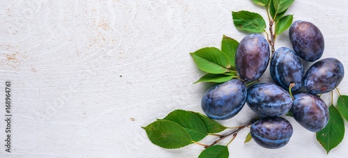 Cuadro en lienzo Plums with green leaves