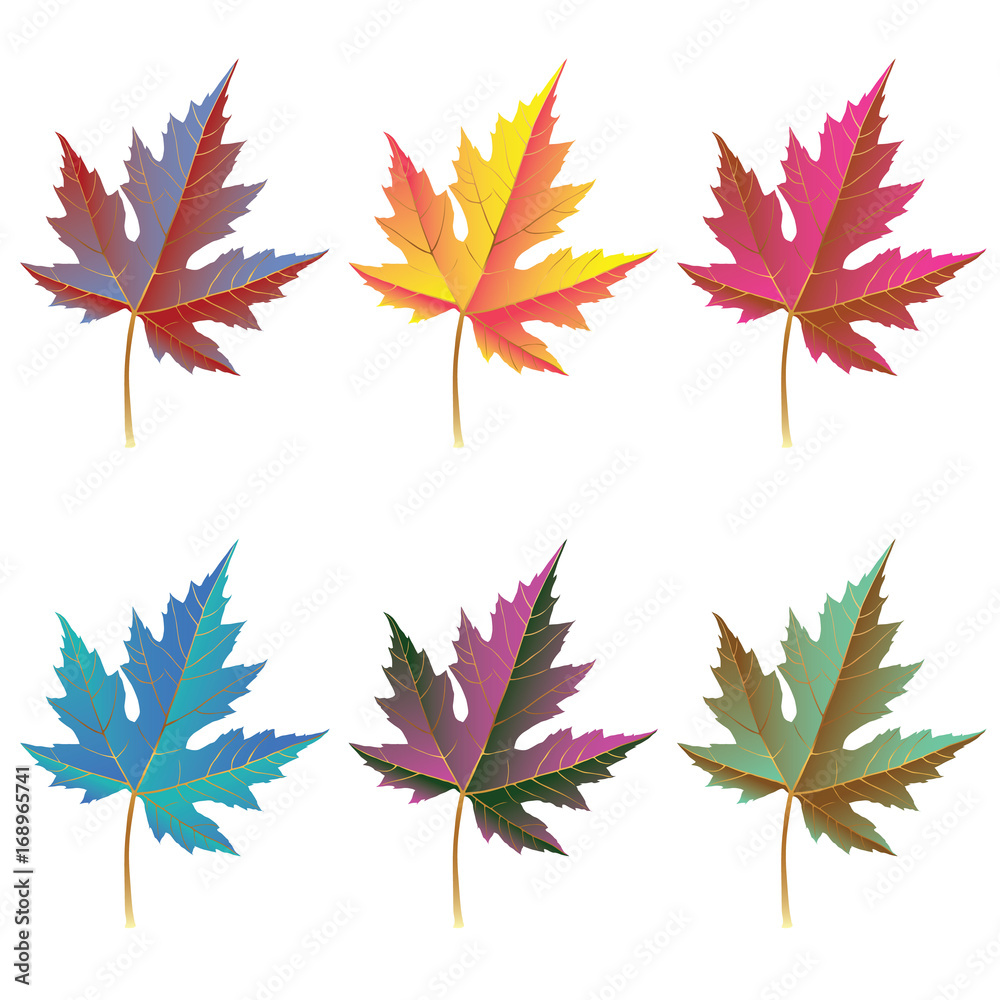 Collection of color autumn leaves. Autumn leaves set. Maple leaves. Collection of color autumn leaves for design, banner, background, ornament, and discount. Gradient autumn leaves. Collection of color autumn leaves. Autumn leaves set. Maple leaves. Collection of color autumn leaves for design, banner, background, ornament, and discount. Gradient autumn leaves.