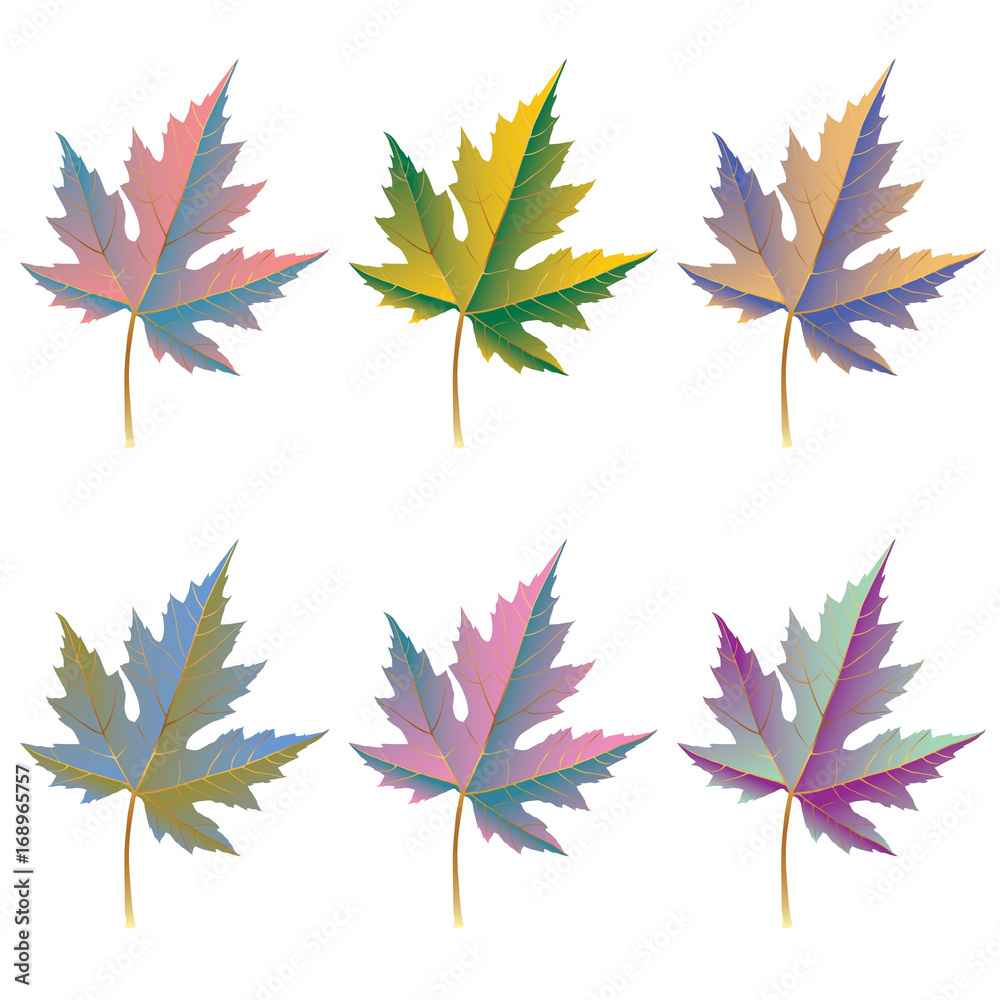 Obraz premium Collection of color autumn leaves. Autumn leaves set. Maple leaves. Collection of color autumn leaves for design, banner, background, ornament, and discount. Gradient autumn leaves.