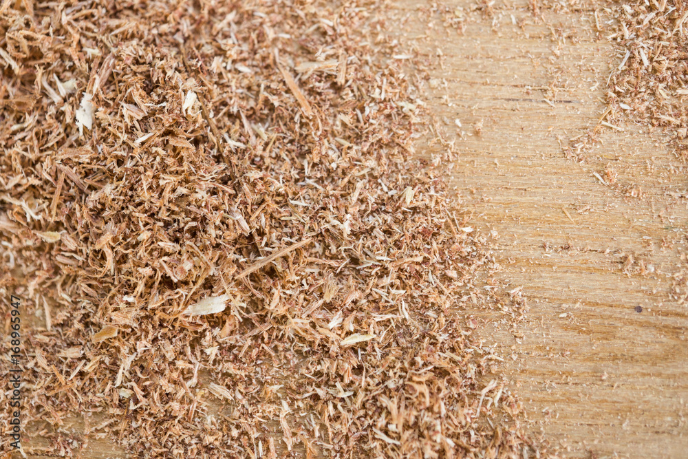 Texture of Sawdust. Texture of Sawdust.