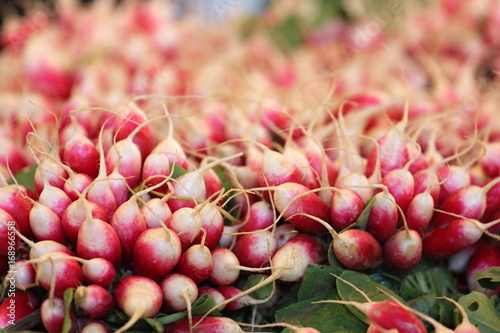 vegetable market, radish