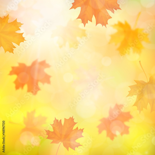 Autumn background with blurred maple fallen leaves. Falling foliage with defocus effect. Vector illustration.