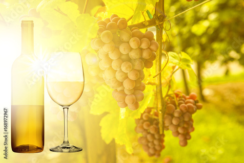 Wein mit Weintrauben