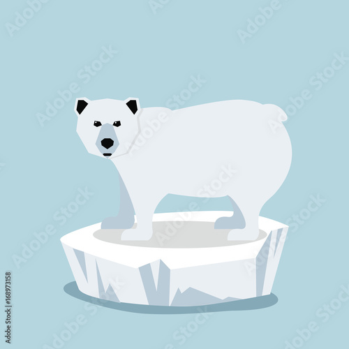 Cute Polar bear  on ice floe