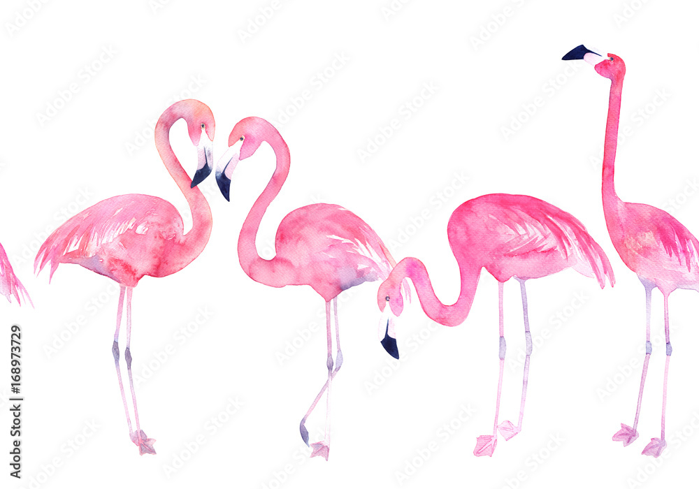 Watercolor flamingo print. Seamless pattern. Hand drawn illustration