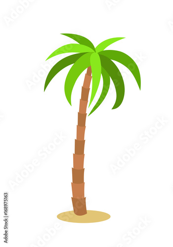 Palm tree. Isolated icon on white background. Vector illustration.