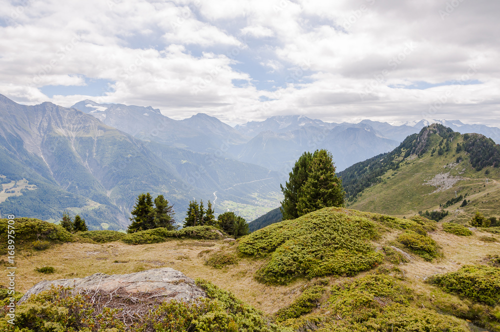 Obraz premium Riederalp, Aletsch, Aletschgletscher, Aletschwald, Simplon, Rohnetal, Höhenweg, Wanderweg, Moosfluh, Riederfurka, Wallis, Alpen, Sommer, Schweiz