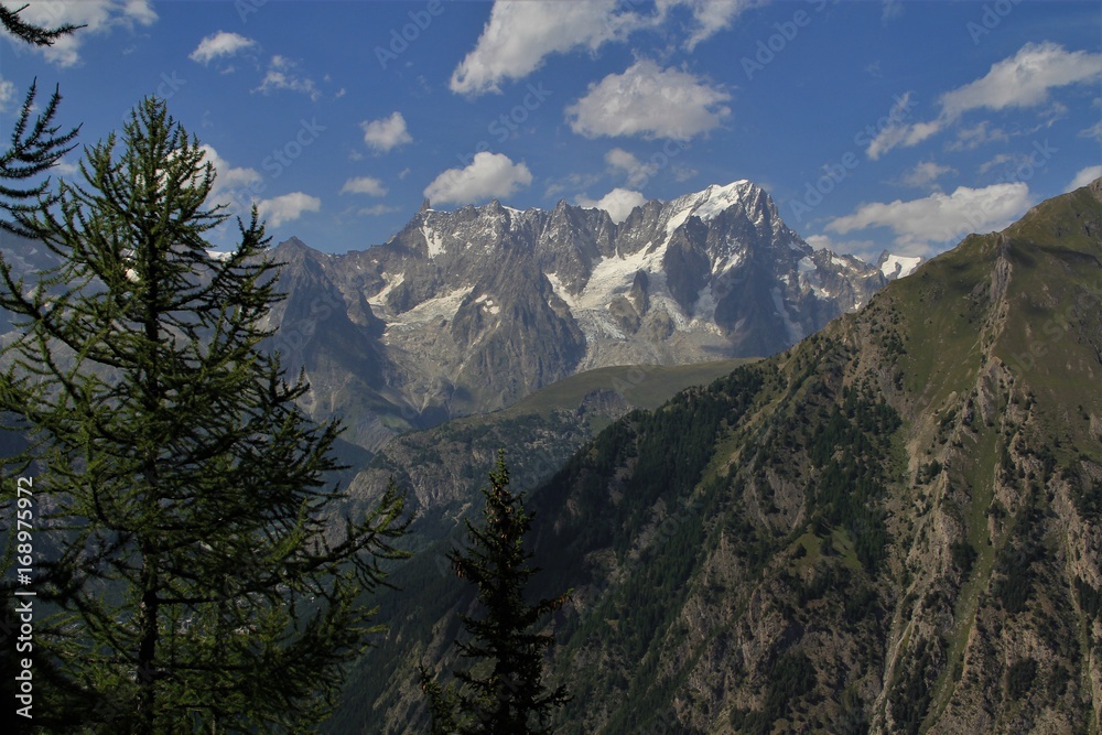 Fototapeta premium grandes Jorasses vues du colle San Carlo