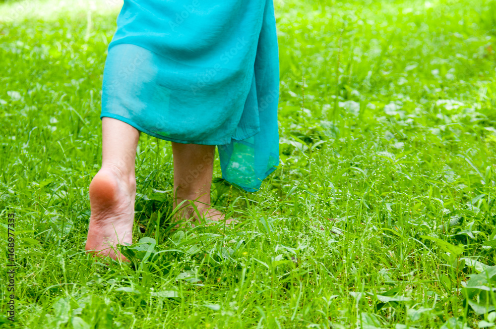 Female feet without shoes are walking on the grass Female feet without shoes are walking on the grass
