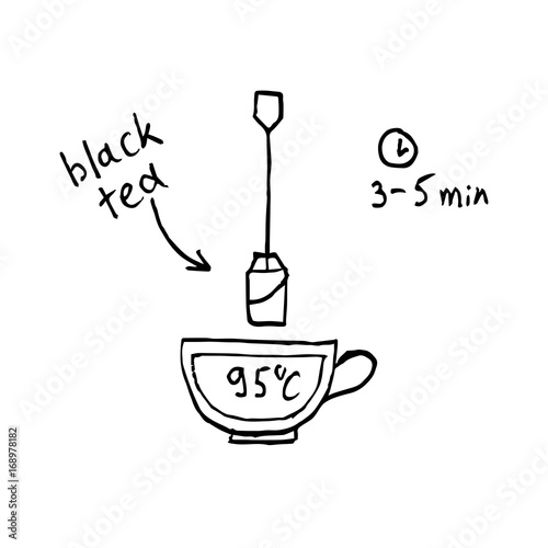 Tea making instruction how to brew black tea. Hand drawn vector illustration.