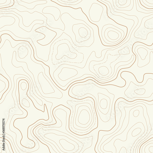 topographic map vector