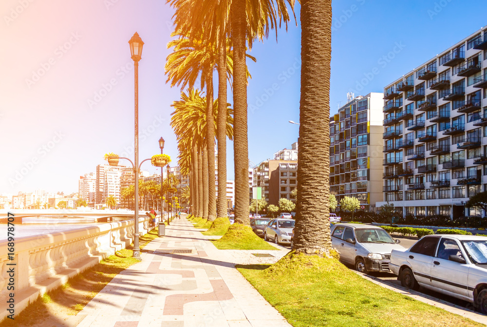 Naklejka premium La Marina embankment in Vina del Mar, Chile