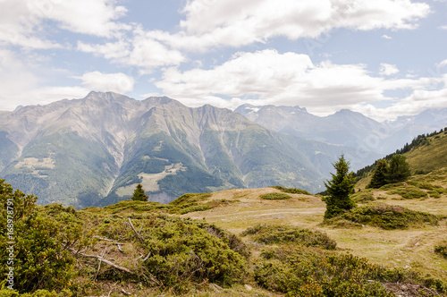 Riederalp, Riederfurka, Walliser Berge, Alpen, Wallis, Rhonetal, Simplon, Aletsch, Aletschwald, Aletschgletscher, Panoramaweg, Sommer, Schweiz photo