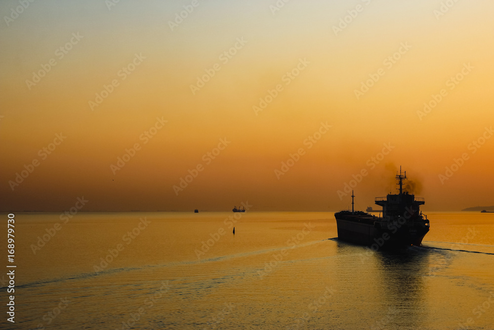 Cargo ship on sea in the rays of the setting sun.