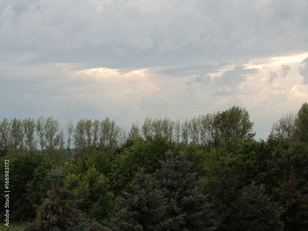 Unwetter Himmel Wolken Bäume Horizont